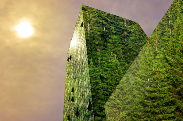 Is Thailand’s commercial real estate industry really going green?